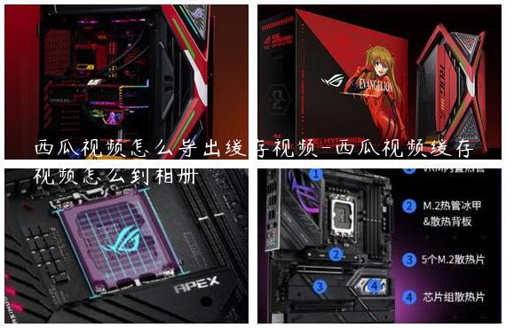 西瓜视频怎么导出缓存视频-西瓜视频缓存视频怎么到相册