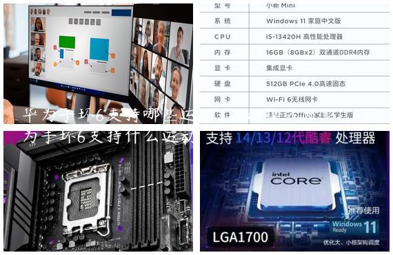 华为手环6支持哪些运动-运动模式介绍_华为手环6支持什么运动