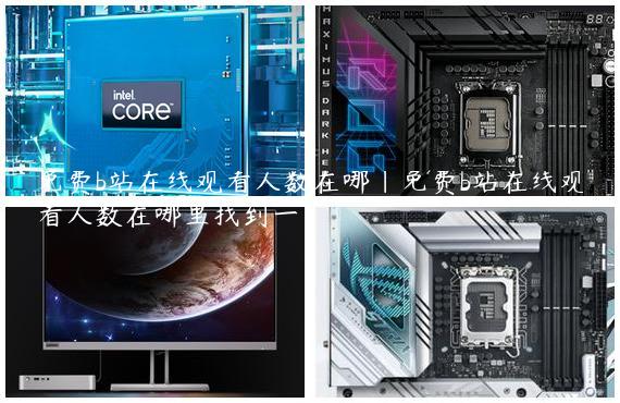 免费b站在线观看人数在哪|免费b站在线观看人数在哪里找到一
