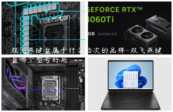 双飞燕键盘属于什么档次的品牌-双飞燕键盘哪个型号好用
