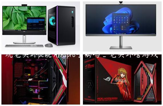 玩老头环pc能用nspro手柄吗_老头环啥游戏