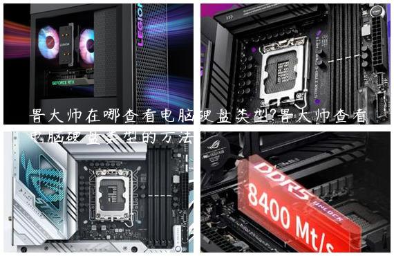 鲁大师在哪查看电脑硬盘类型?鲁大师查看电脑硬盘类型的方法