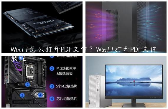 Win11怎么打开PDF文件？Win11打开PDF文件教程
