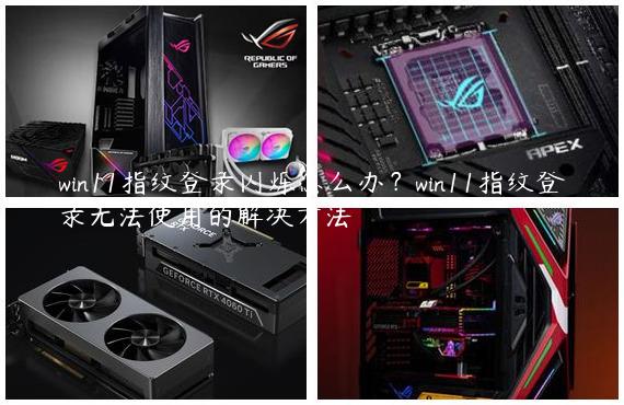 win11指纹登录闪烁怎么办？win11指纹登录无法使用的解决方法