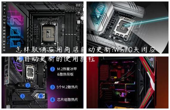怎样取消应用商店自动更新?Win10关闭应用自动更新的使用教程