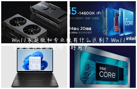 Win11家庭版和专业版有什么区别？Win11家庭版和专业版哪个好用？