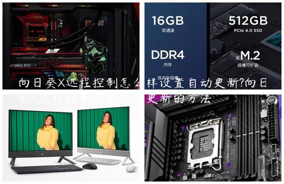 向日葵X远程控制怎么样设置自动更新?向日葵X远程控制设置自动更新的方法