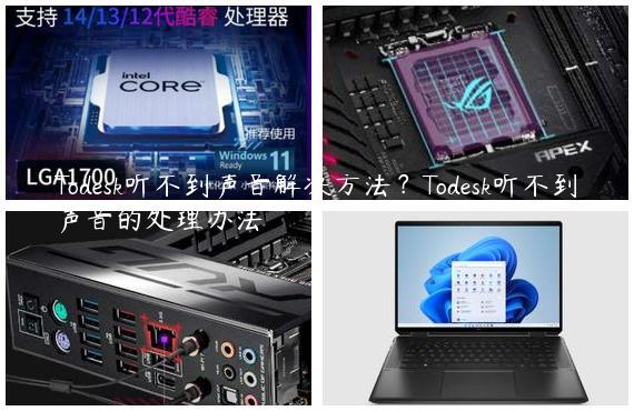 Todesk听不到声音解决方法？Todesk听不到声音的处理办法