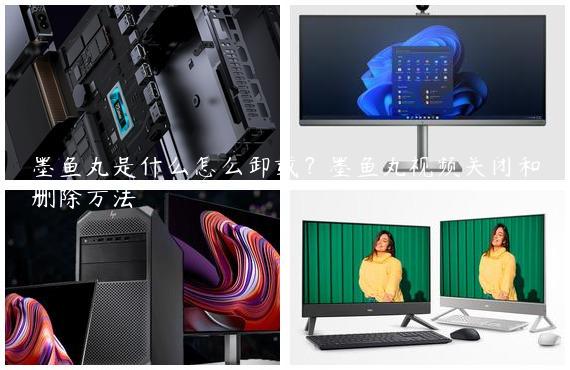 墨鱼丸是什么怎么卸载？墨鱼丸视频关闭和删除方法