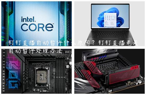 钉钉直播自动暂停什么原因？钉钉直播老是自动暂停处理办法