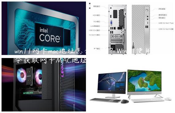 win11网卡mac地址怎么查看？Win11使用命令获取网卡MAC地址的方法