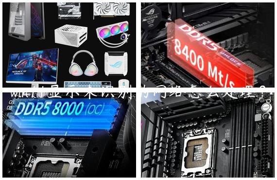 win11显示未识别的网络怎么处理？