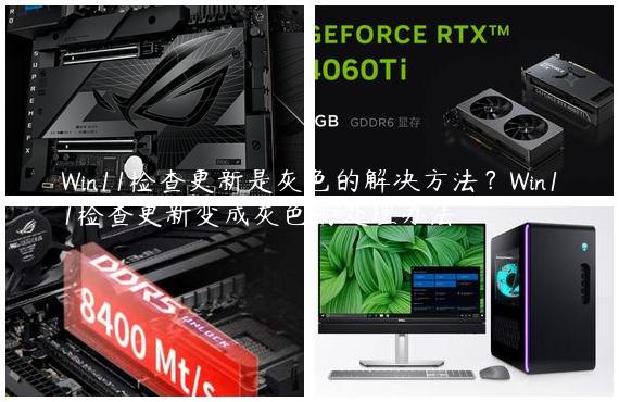 Win11检查更新是灰色的解决方法？Win11检查更新变成灰色的处理办法