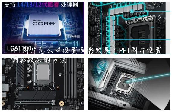 PPT图片怎么样设置倒影效果？PPT图片设置倒影效果的方法