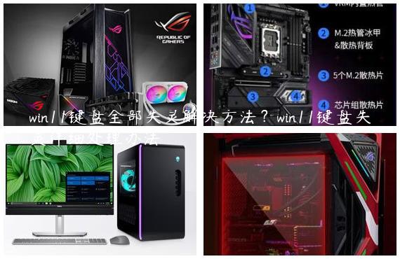 win11键盘全部失灵解决方法？win11键盘失灵详细处理办法