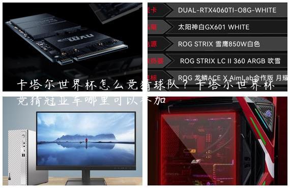 卡塔尔世界杯怎么竞猜球队？卡塔尔世界杯竞猜冠亚军哪里可以参加