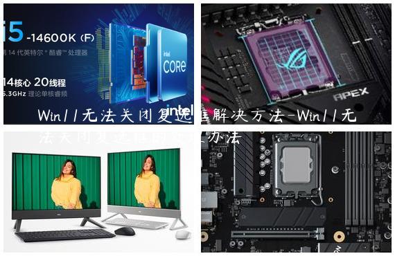 Win11无法关闭复选框解决方法-Win11无法关闭复选框的处理办法