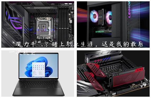 “魔力牛”：赌上职业生涯，这是我的最后一次机会