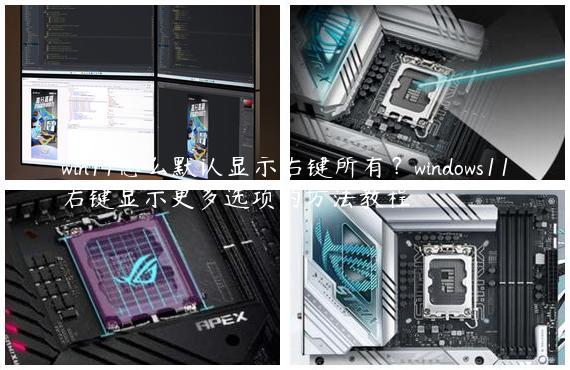 win11怎么默认显示右键所有？windows11右键显示更多选项的方法教程