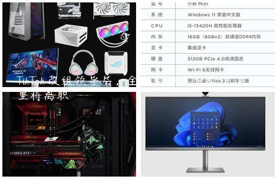 TikTok 改组领导层，全球营销主管凯特・贾维里将离职