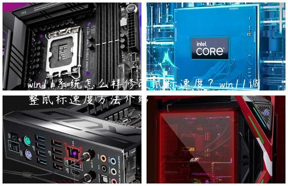 win11系统怎么样修改鼠标速度？win11调整鼠标速度方法介绍