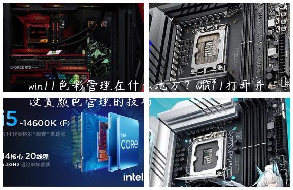 win11色彩管理在什么地方？win11打开并设置颜色管理的技巧