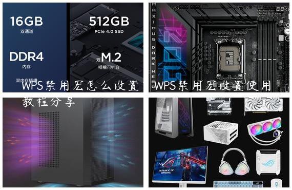 WPS禁用宏怎么设置？WPS禁用宏设置使用教程分享