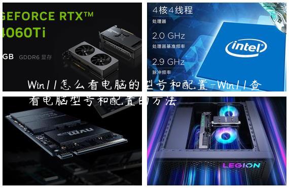 Win11怎么看电脑的型号和配置-Win11查看电脑型号和配置的方法