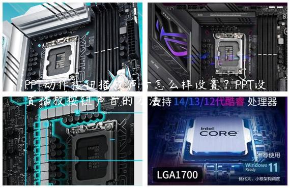 PPT动作按钮播放声音怎么样设置？PPT设置播放按钮声音的方法
