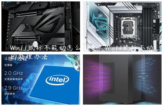 Win11鼠标不能动怎么恢复？Win11鼠标不动的处理办法
