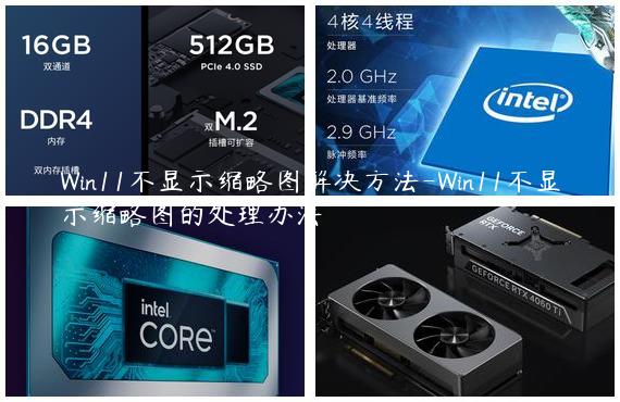 Win11不显示缩略图解决方法-Win11不显示缩略图的处理办法