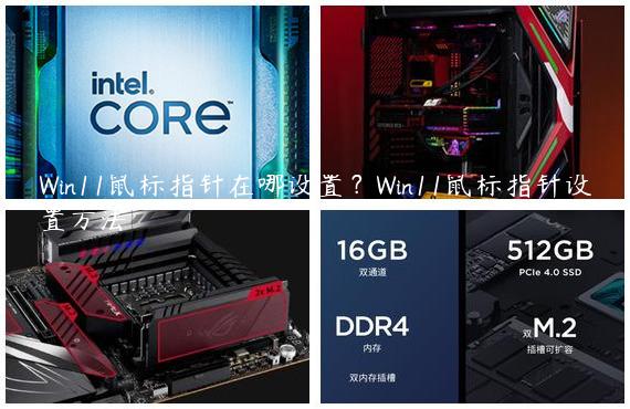 Win11鼠标指针在哪设置？Win11鼠标指针设置方法
