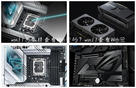 win11怎么样查看Wifi密码？win11查看Wifi密码操作步骤