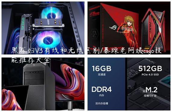黑寡妇V3有线和无线区别/暴躁老阿姨csgo技能推荐大全