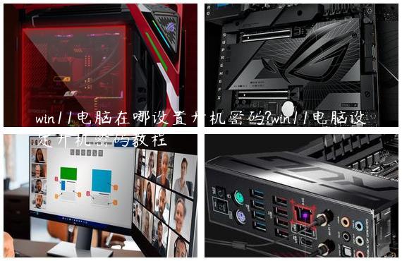 win11电脑在哪设置开机密码?win11电脑设定开机密码教程