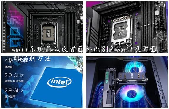 win11系统怎么设置面部识别？win11设置面部识别方法