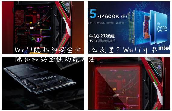 Win11隐私和安全性怎么设置？Win11开启隐私和安全性功能方法