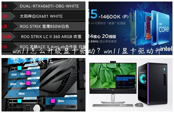 win11怎么升级显卡驱动？win11显卡驱动升级步骤教程