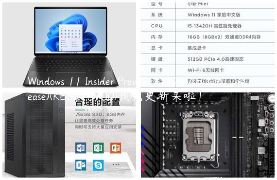 Windows 11 Insider Preview 22622.450 (ni_release)(KB5016700)预览更新来啦！
