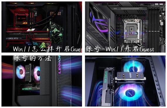 Win11怎么样开启Guest账号-Win11开启Guest账号的方法