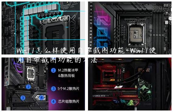Win11怎么样使用自带截图功能-Win11使用自带截图功能的方法
