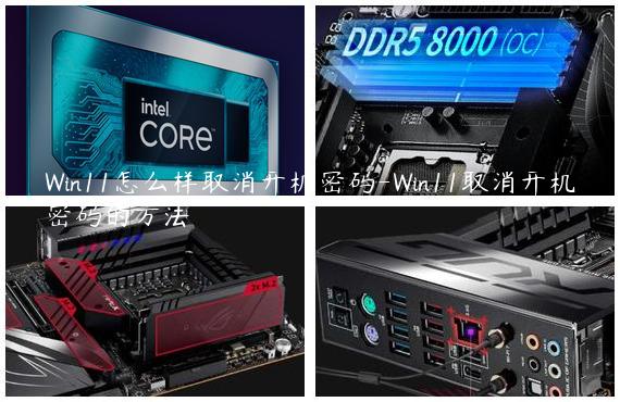 Win11怎么样取消开机密码-Win11取消开机密码的方法