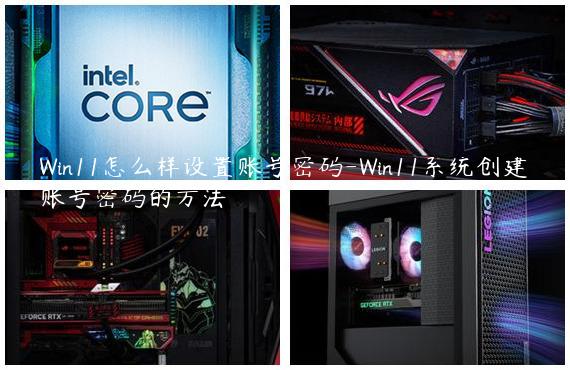 Win11怎么样设置账号密码-Win11系统创建账号密码的方法