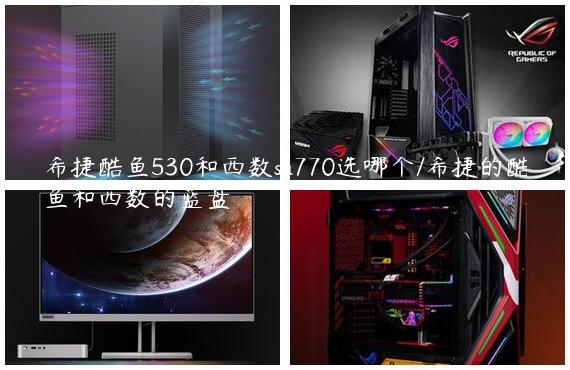 希捷酷鱼530和西数sn770选哪个/希捷的酷鱼和西数的蓝盘
