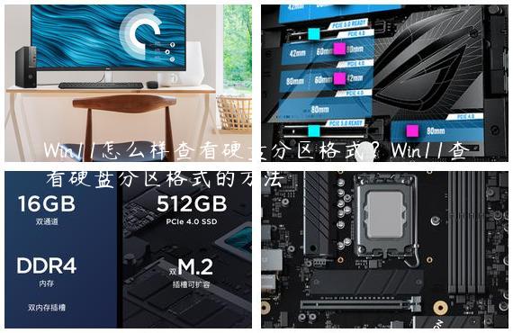 Win11怎么样查看硬盘分区格式？Win11查看硬盘分区格式的方法