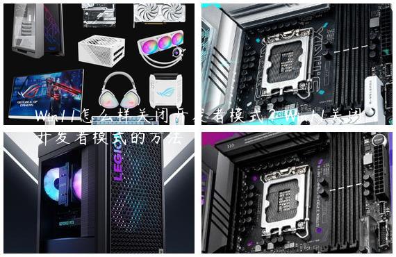 Win11怎么样关闭开发者模式？Win11关闭开发者模式的方法