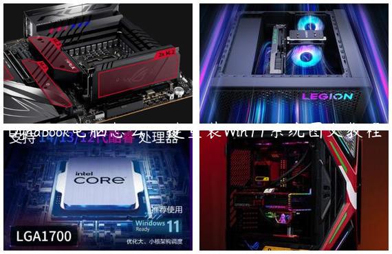 Dynabook电脑怎么一键重装Win11系统图文教程