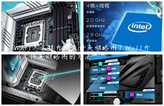 Win11怎么样开启文件夹缩略图？Win11开启文件夹缩略图的方法