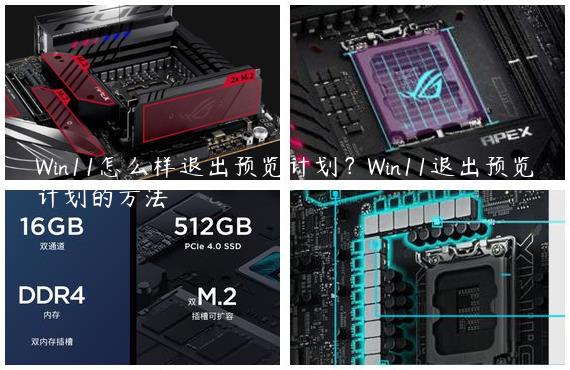 Win11怎么样退出预览计划？Win11退出预览计划的方法