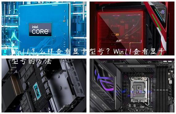 Win11怎么样查看显卡型号？Win11查看显卡型号的方法